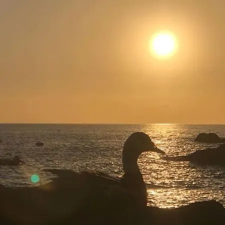 Daire 201 - Studio With Nice Views To La Gomera *